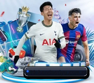 半岛体育登录入口 APP（BandaoSports）